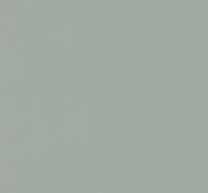 Монохромный серый